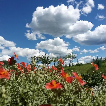 Bed & Breakfast Timo E Rosmarino 3*