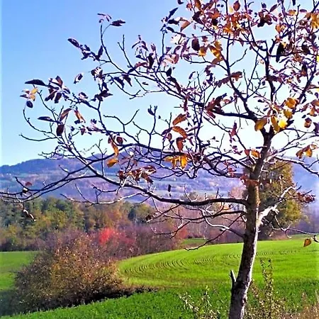 Timo E Rosmarino Bed & Breakfast