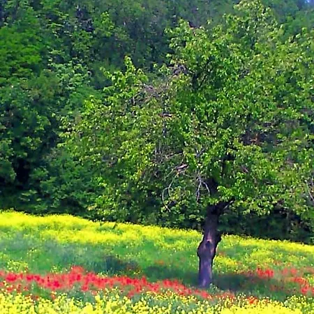 Bed & Breakfast Timo E Rosmarino