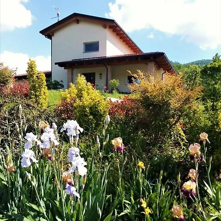 Timo E Rosmarino *