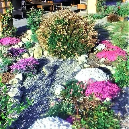 Bed & Breakfast Timo E Rosmarino