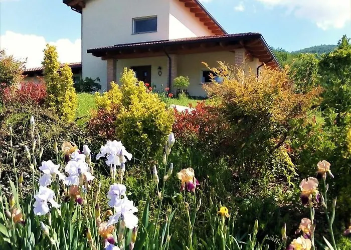 Timo E Rosmarino 3*