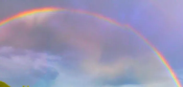 Timo E Rosmarino Ponte Nizza