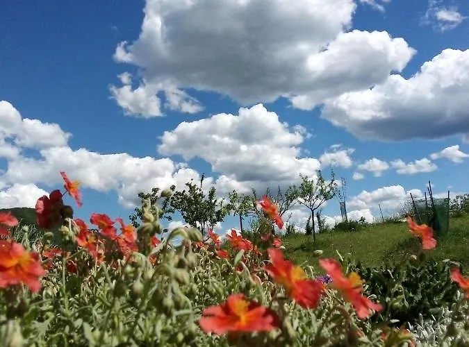 Frühstückspension Timo E Rosmarino 3*